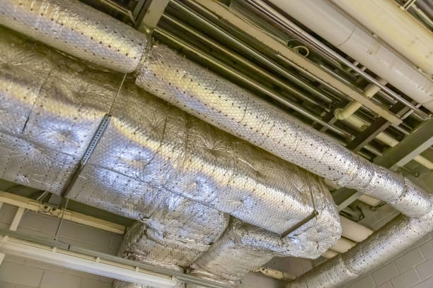 Best Air Duct Mold Removal  in USA